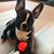 Sierra Huff-Lavelle's profile image