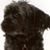 Debi Debban Gates's profile image