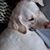 Jenifer Wehner's profile image