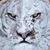 April Marlow's profile image