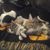 Sandy Muir's profile image