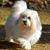 Diane Naito's profile image
