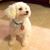 Margaret Murray's profile image