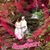Beverly R Bonvisuto Conto's profile image