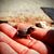 Shane Largo's profile image