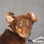 Helen Szekely's profile image