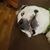 Nancy Hausserman's profile image