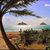Barbara Momilani Pratt's profile image