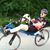 Allan S Weiss's profile image