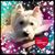 Therese Becchetti Jurczyk's profile image