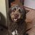 Melissa Stewart Hall's profile image