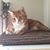 Jennifer Gossard's profile image