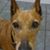 Cindy Cogdell's profile image