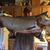 Loren Greenlaw's profile image