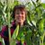 Julie Yount's profile image