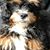 Todd Botwin's profile image