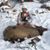 Michael James Bellitti's profile image