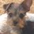 Amy Spangler Dunn's profile image