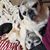 Mary Kulas's profile image