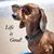 Andrea Krull Sorrentino's profile image