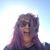 Kristine Dragoo's profile image