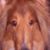 Ray DeClercq's profile image