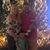 Ally Simpson Henderson's profile image