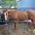 Mary Lou Coleman Henson's profile image