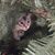 Lisa Harboe's profile image