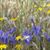 Dolores Turenne's profile image