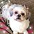 Donna Sta Agueda's profile image