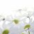 Deb Bee's profile image
