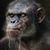 Raul Luis's profile image