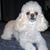 Lisa Burke Mallory's profile image