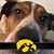 Thomas Jennings's profile image