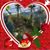 Sharon Marie Jo Johnson's profile image
