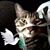 Brenda Callaway's profile image