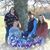 Karen Scott's profile image