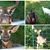 Jessica Karla Stovall's profile image