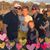 Traci Courtois's profile image