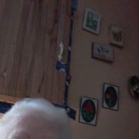 Bev Westlake's profile image