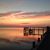Susan Clarke Powell's profile image