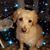 Wendy Davis's profile image
