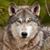 Gayle Hardin's profile image