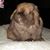 Stacy Hyatt's profile image