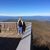 Anne Gross's profile image
