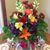 Donna Grisamore's profile image