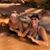 Chelsea Bridgeman's profile image