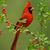 Lisa Roper Linn's profile image