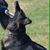 Karen Hansen-Wurdinger's profile image